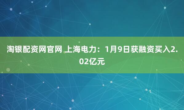 淘银配资网官网 上海电力：1月9日获融资买入2.02亿元