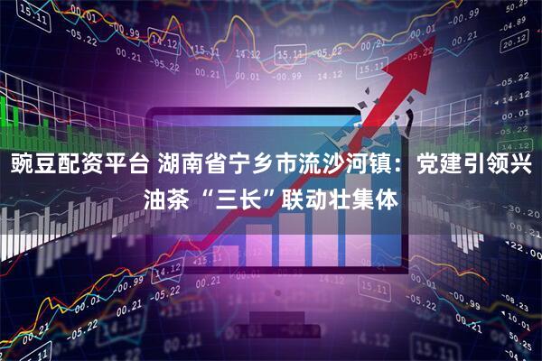 豌豆配资平台 湖南省宁乡市流沙河镇：党建引领兴油茶 “三长”联动壮集体